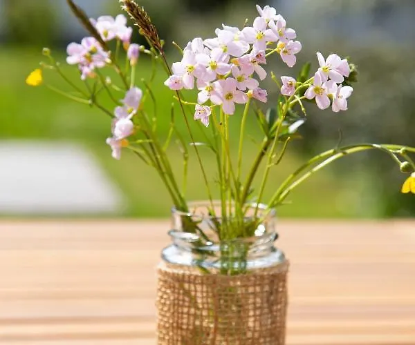 Homestay Gutshof Zum Wurzgarten *